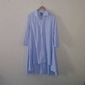 Step in style blue and white gingham high low shirt dress
